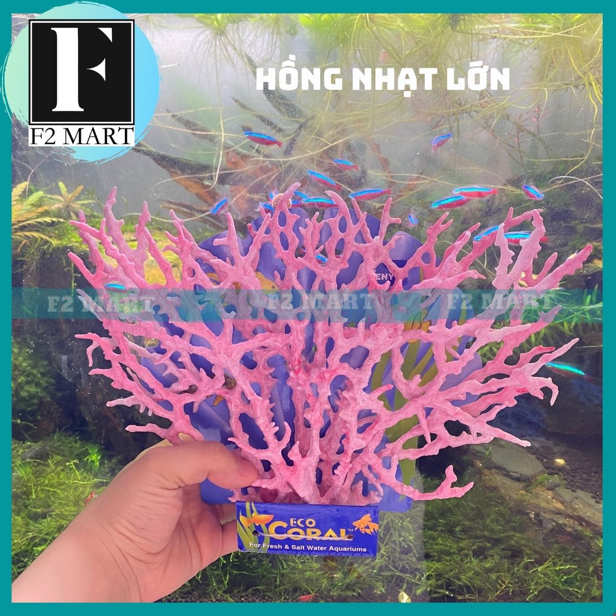 San hô trang trí bể cá cảnh, hồ cá cảnh siêu đẹp