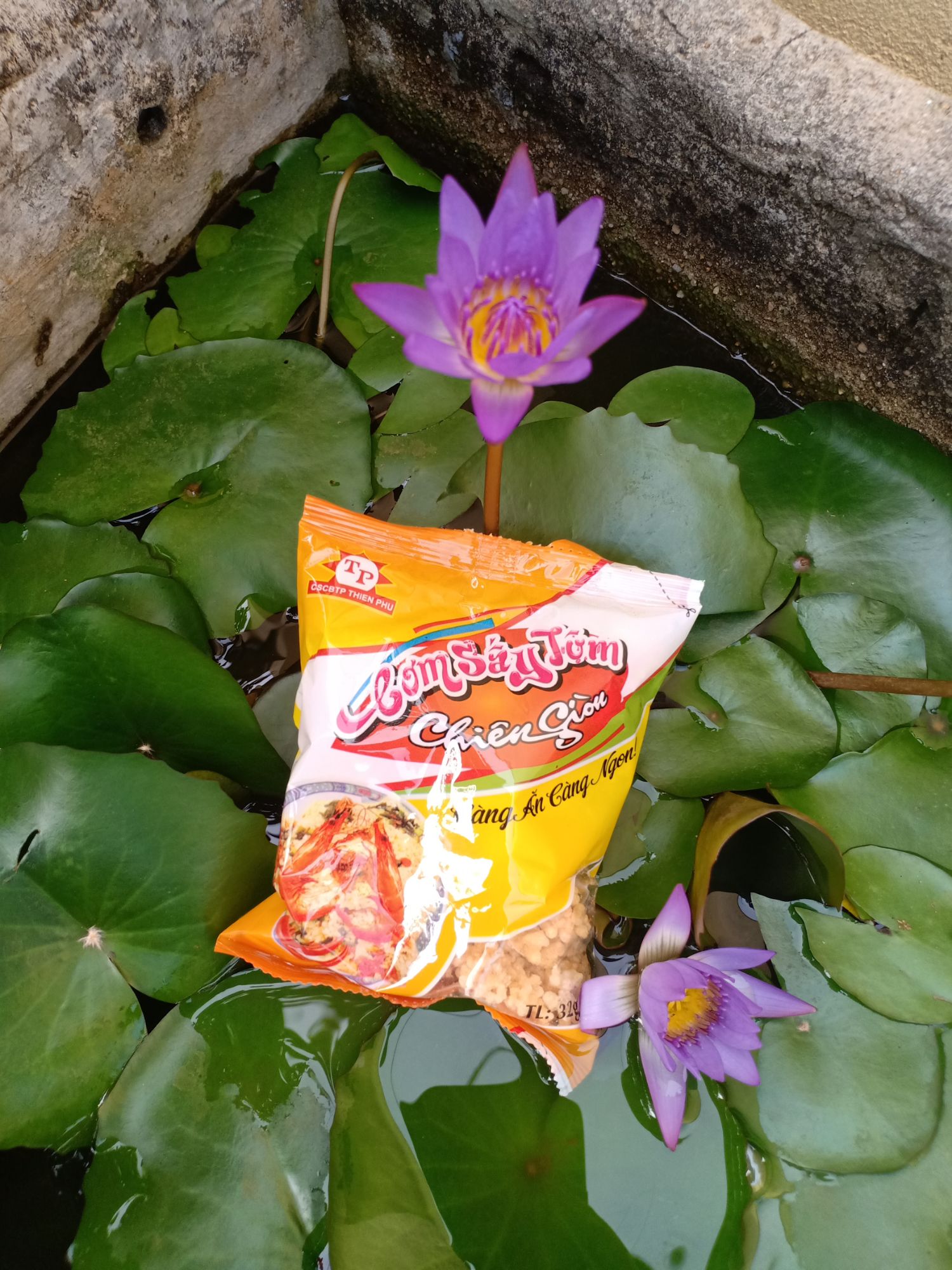 Combo 1KG chuối sấy không đường +10 bì cơm sấy