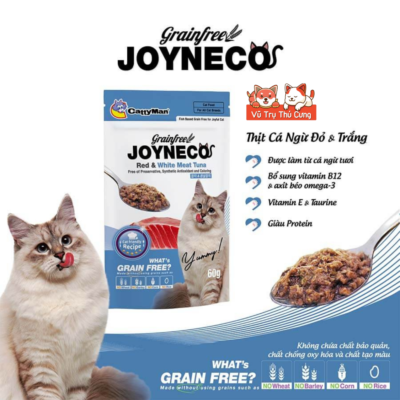 Pate Catty Man Joyneco cho Mèo gói 60g