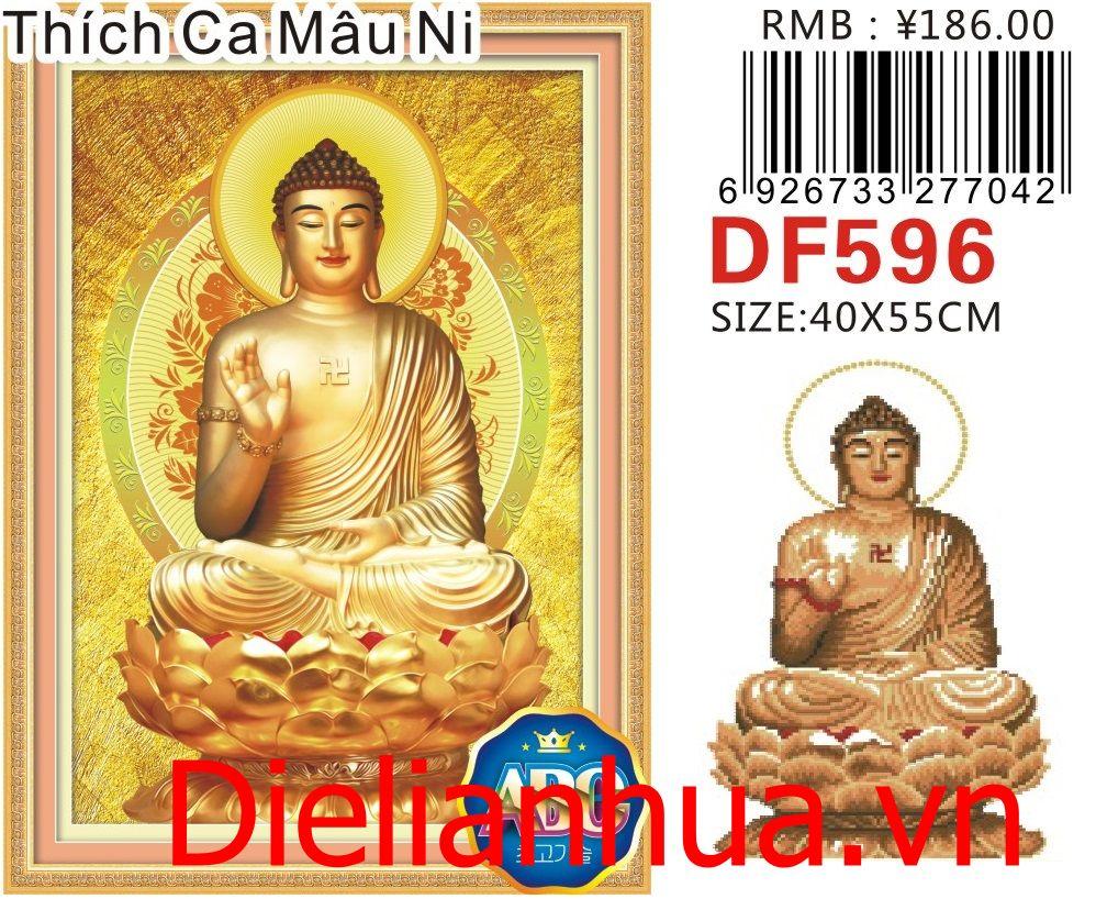 Tranh đính đá thích ca mâu ni_df596_40*50cm