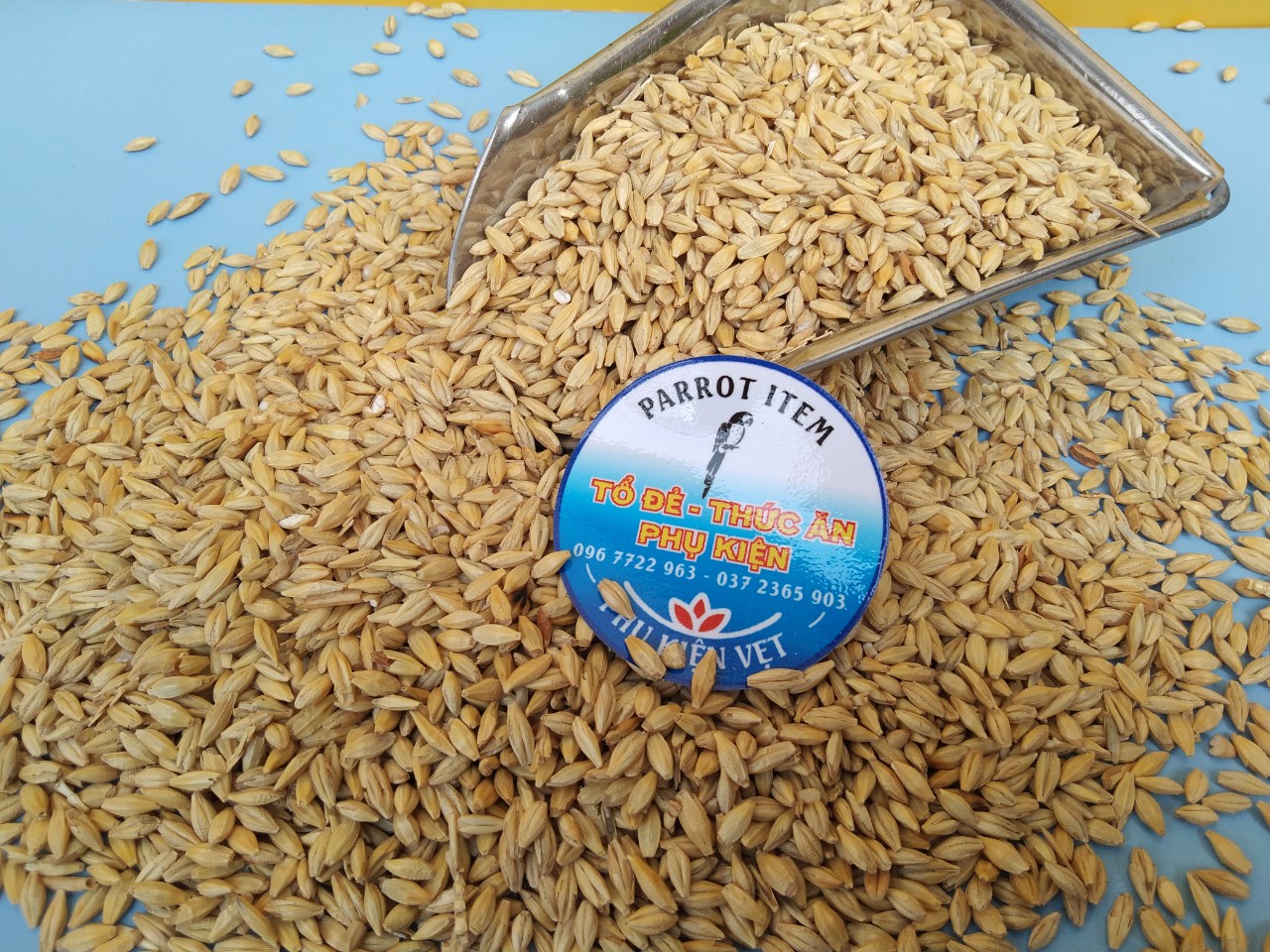 HẠT ĐẠI MẠCH CHO CHIM,VẸT