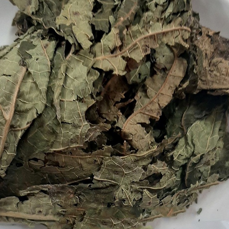 Lá Đu Đủ Đực khô [1KG] Hàng loại 1