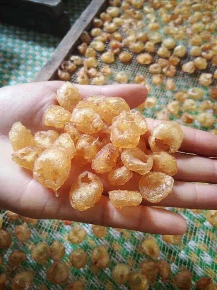 LONG NHÃN SÔNG MÃ - SƠN LA - 0,5kg