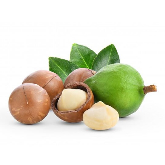 Macca Fresh Tamarind Seeds – Premium, Fatty, Nutritious 500Gr 209K