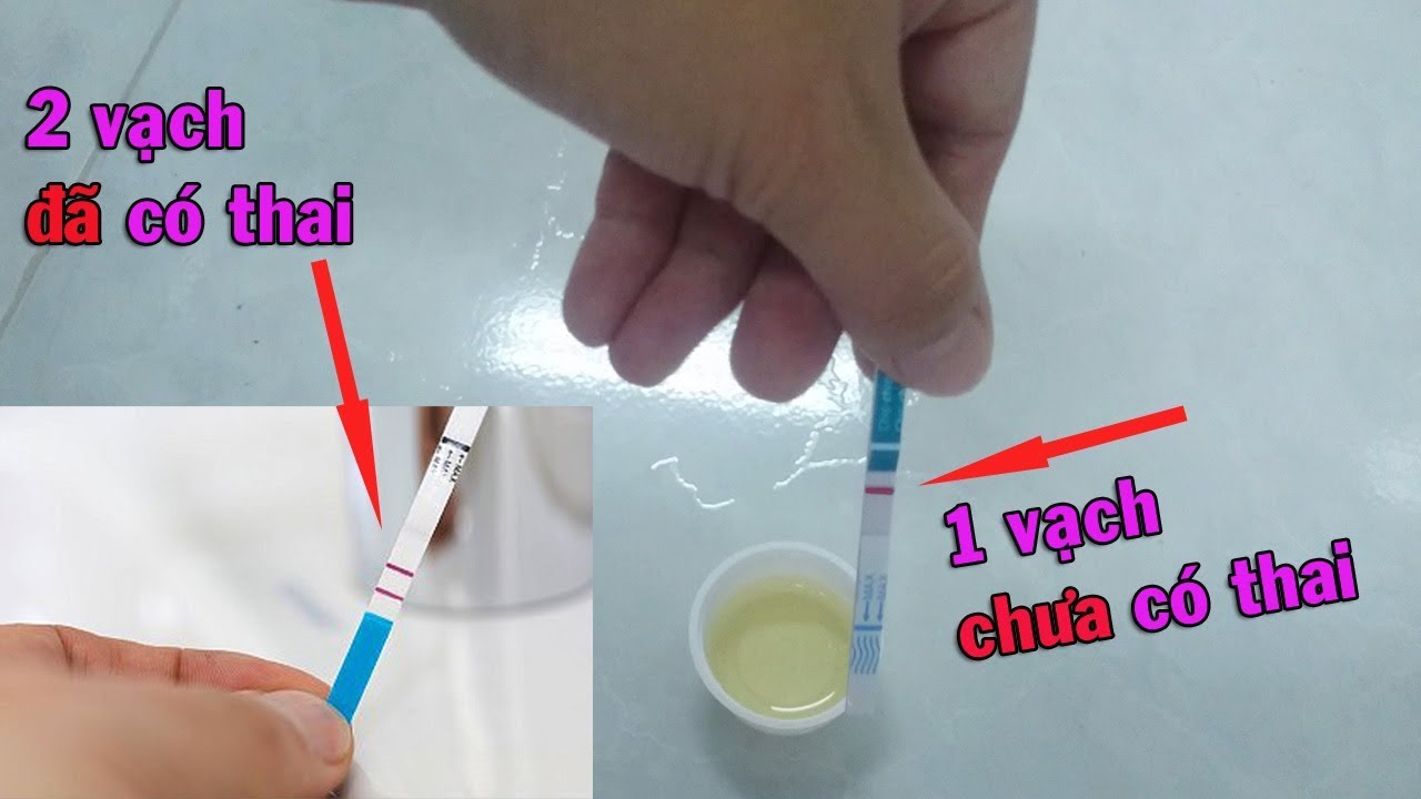 Que thử thai QuickSeven - 12 que test