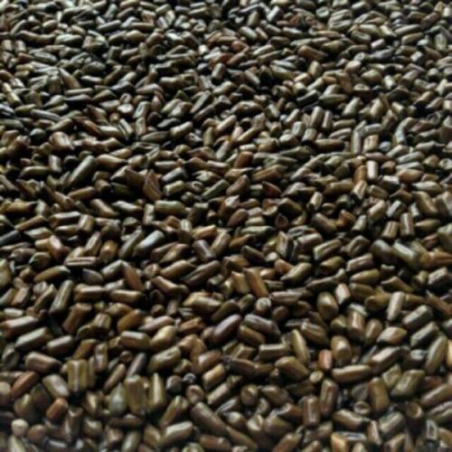 1kg Hạt muồng ( thảo quyết minh) làm trà uống hoặc làm đồ chơi xúc cát cho trẻ