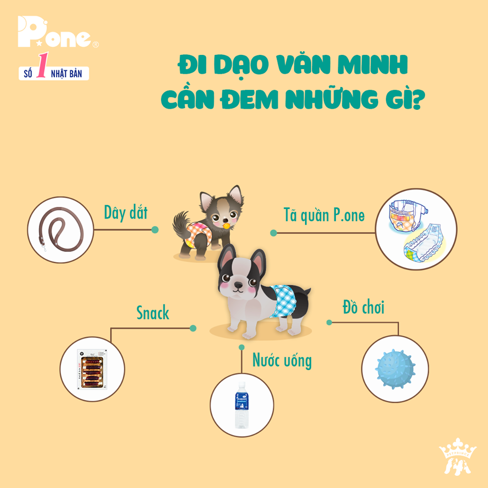 bỉm cho chó giống đực (bé trai) hãng P.one (bán lẻ từng miếng) - T3 PETS SHOP