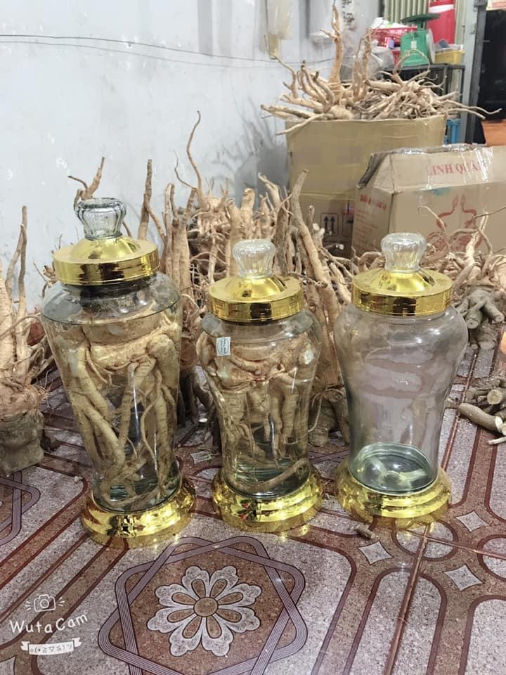 [HCM][CHÍNH HẢNG] 1kg củ đinh lăng tươi ( nguyên củ)