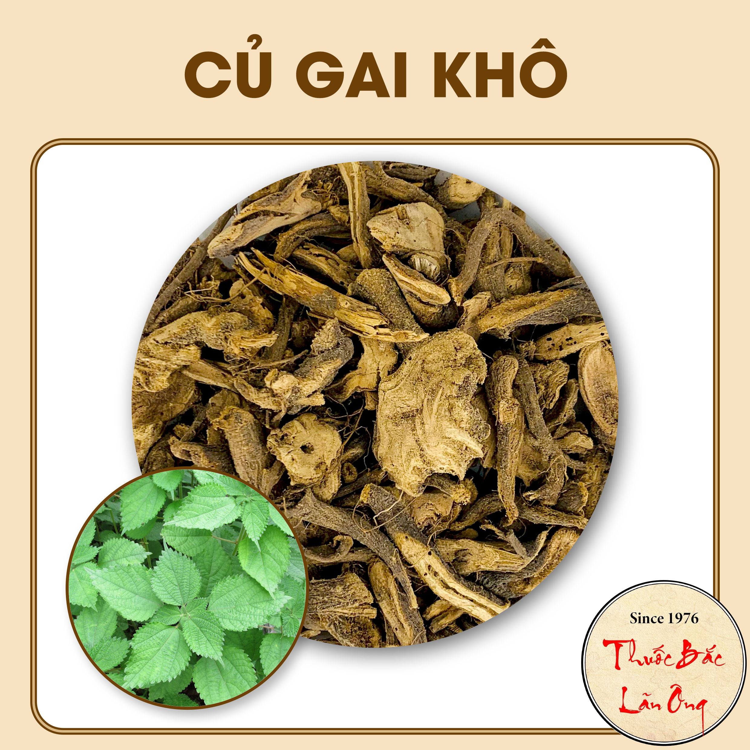 Củ gai 500g khô, sạch, dưỡng thai, an thai rất tốt - Lãn Ông