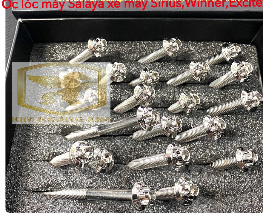 Bộ ốc lốc máy Salaya Inox 304 gắn lốc xe máy Future Neo,Future 125 hàng chất lượng siêu rẻ 