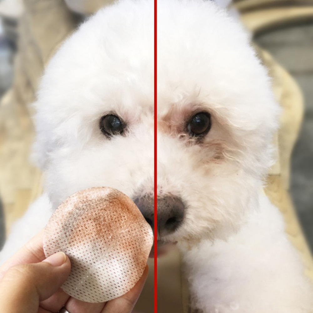Smart store - bông lau mắt thú cưng chuyên dụng wipe pet