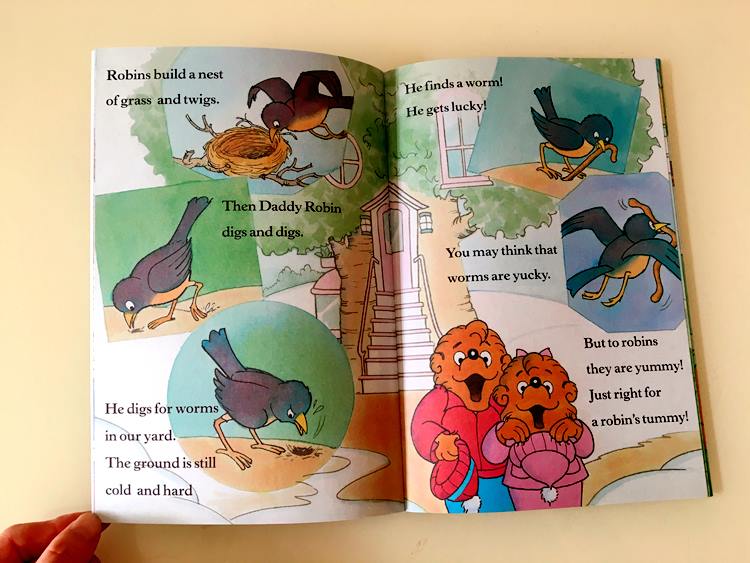 Berenstain Bears - 34 cuốn