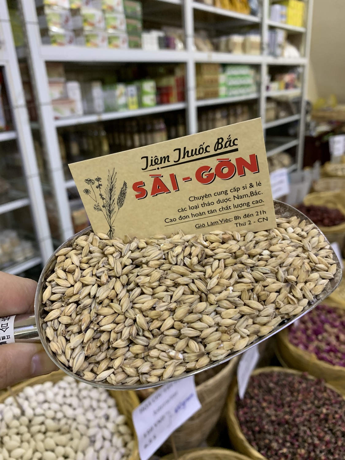 [HCM]ĐẠI MẠCH HỮU CƠ 100 GRAM Tiệm Thuốc Bắc Sài Gòn