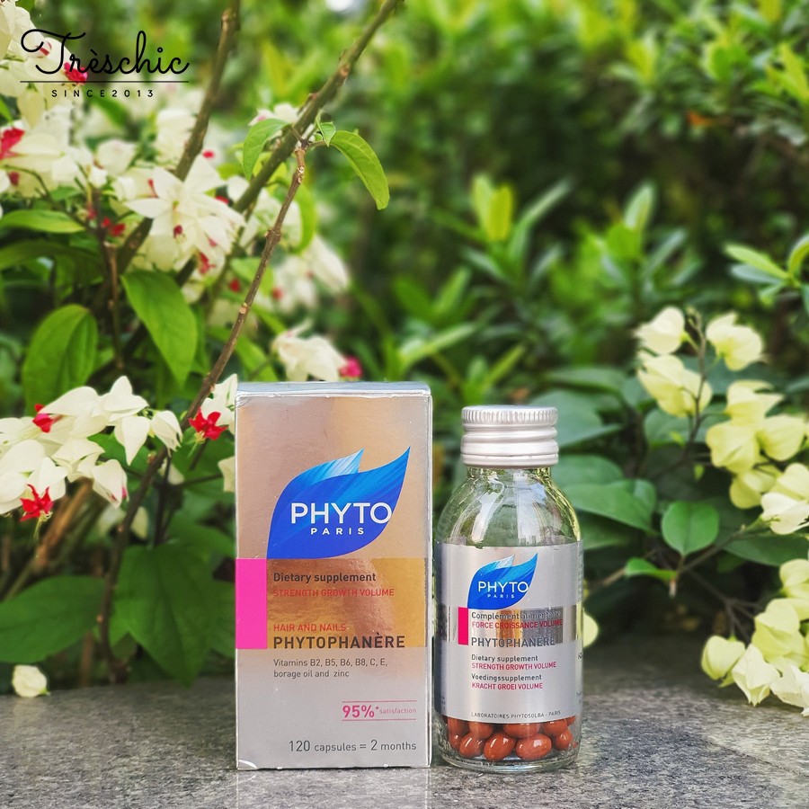 Viên Uống Mọc Tóc Phyto (120V)