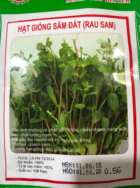 HẠT GIỐNG RAU SAM (SÂM ĐẤT)