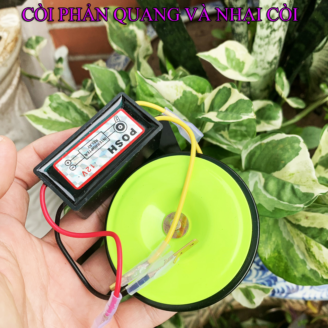 Nhại còi Posh Và Còi ATE dạ quang DC 12v [ combo 2 món]