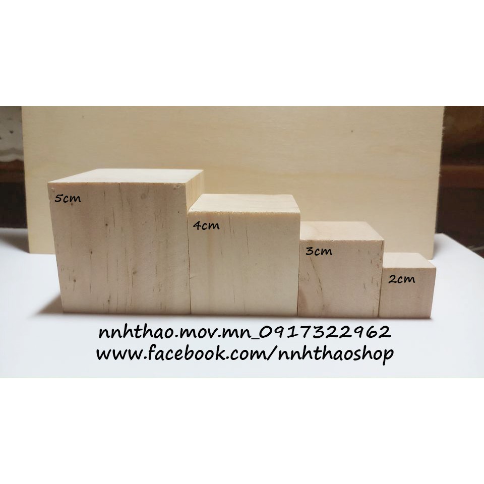 Gỗ khối vuông 2,3,4,5 cm