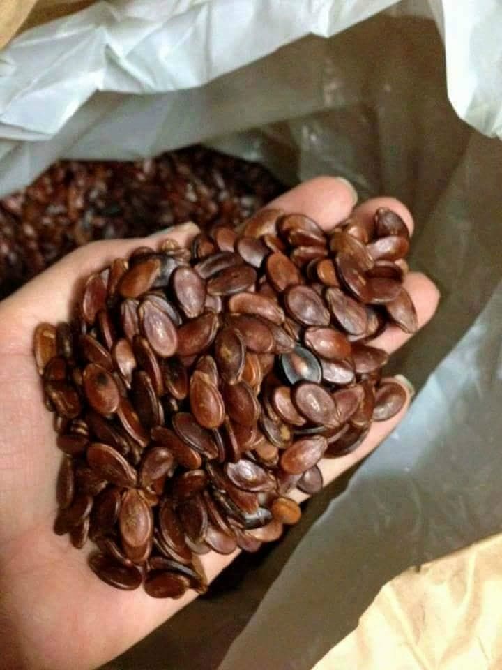 hạt dưa Tân Ký ( 500gr)