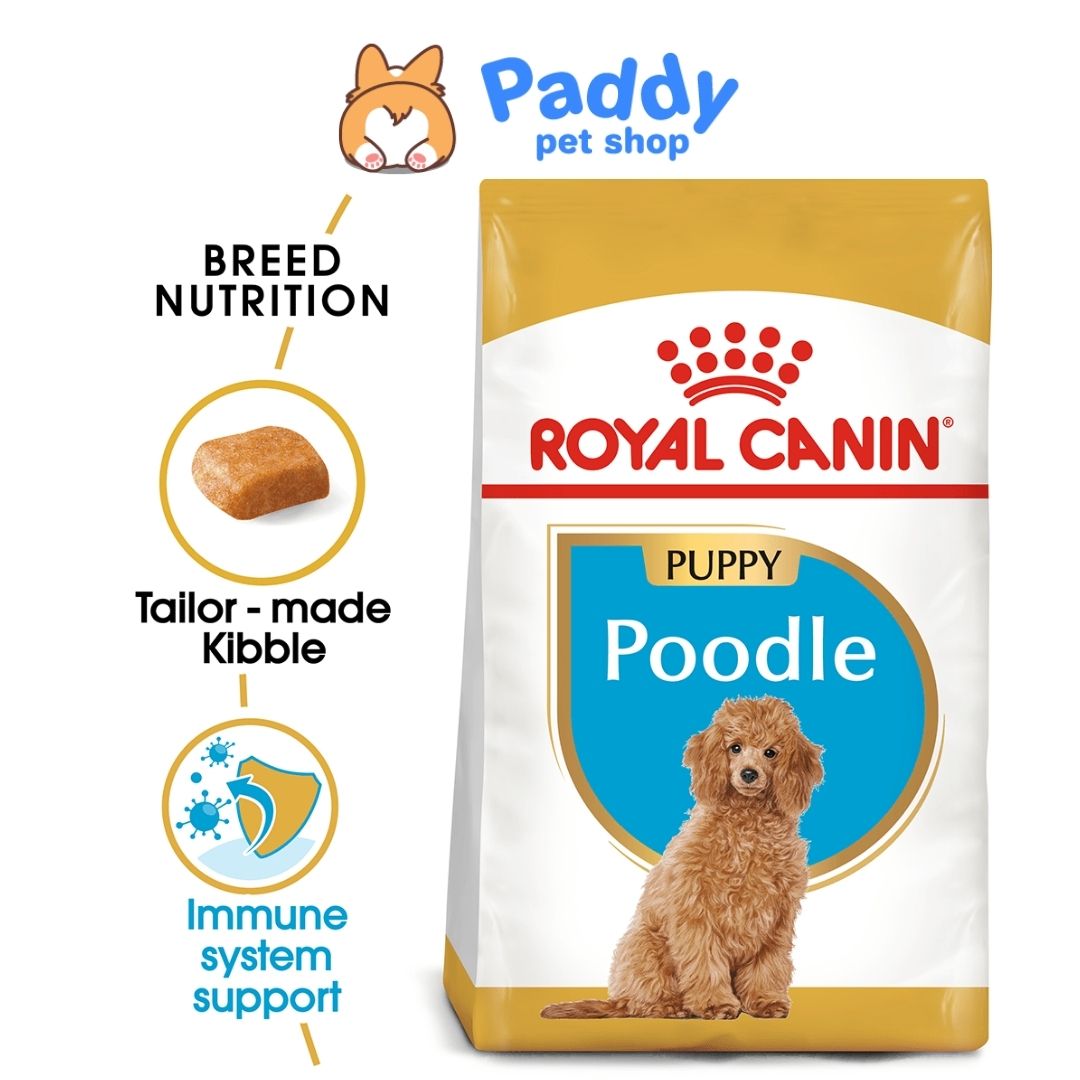 Hạt Cho Chó Con Poodle Royal Canin Poodle Puppy