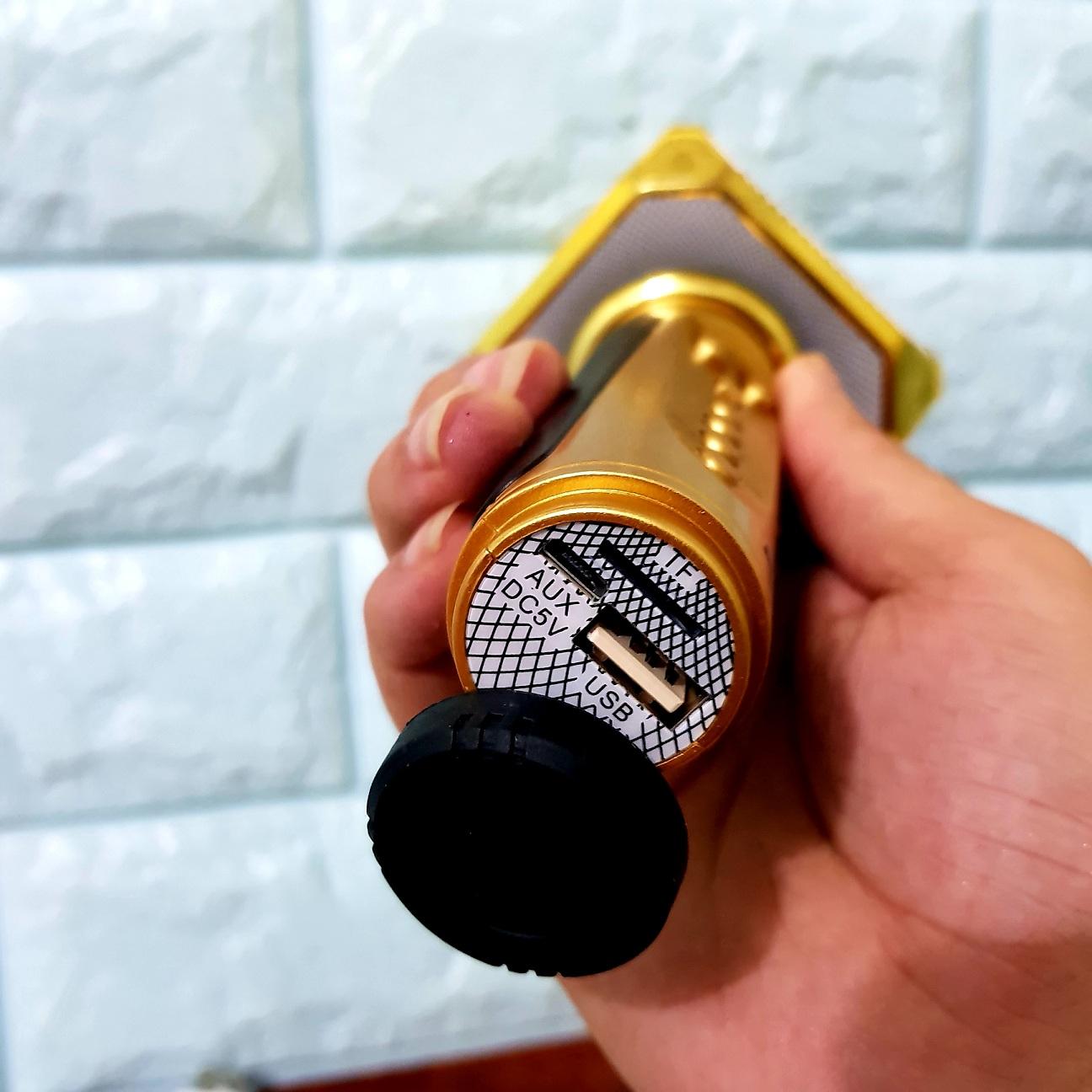 Micro Hát Karaoke Kèm Loa Bluetooth SD-10 Chính Hãng SDRD