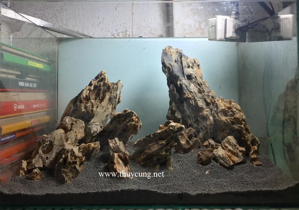 Đá tiger trang trí bể cá 1kg Thủy Cung