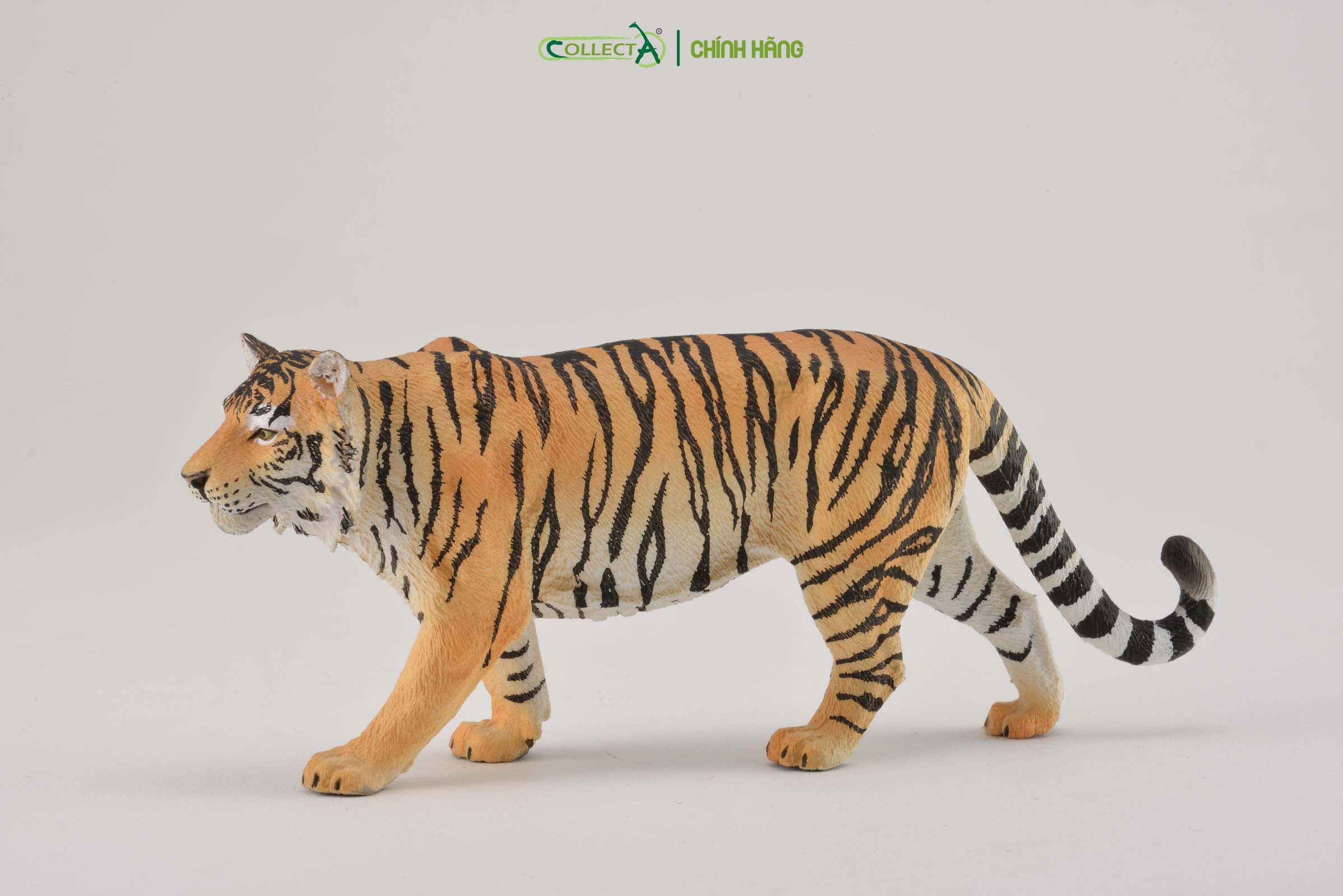 Đồ chơi mô hình động vật CollectA Hổ - Siberian Tiger