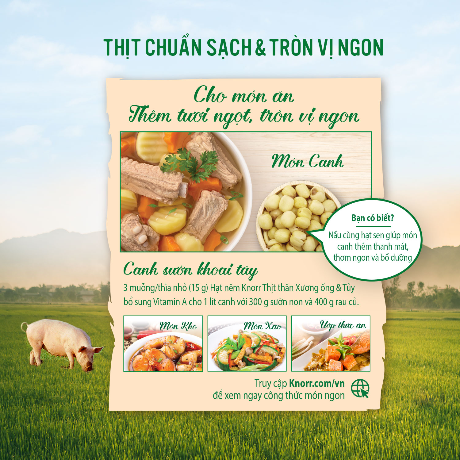 Hạt Nêm Knorr Thịt Thăn (Xương Ống & Tủy) Túi 1800G