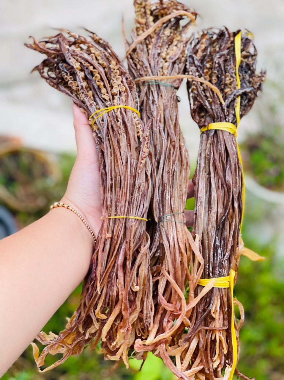 500gram Râu Mực Khô Đặc Sản Miền Trung , ăn vặt , ăn chính , râu khô mực Râu mực khô là món ăn đặc sản của người Việt Nam được chế biến từ những râu mực tươi ngon