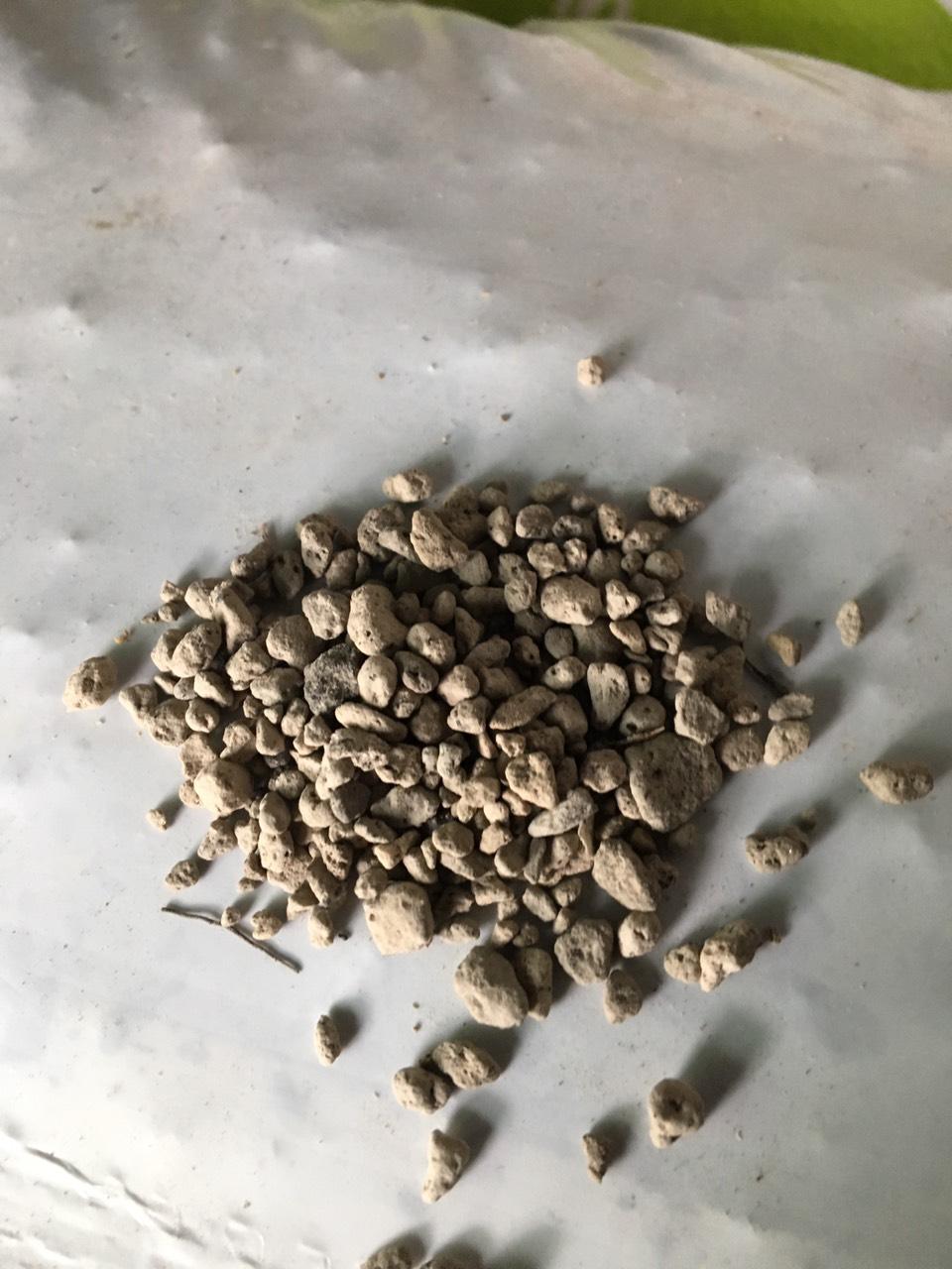 Đá núi lửa Pumice Indonesia cỡ 5 đến 8 mm khối lượng 1 kg