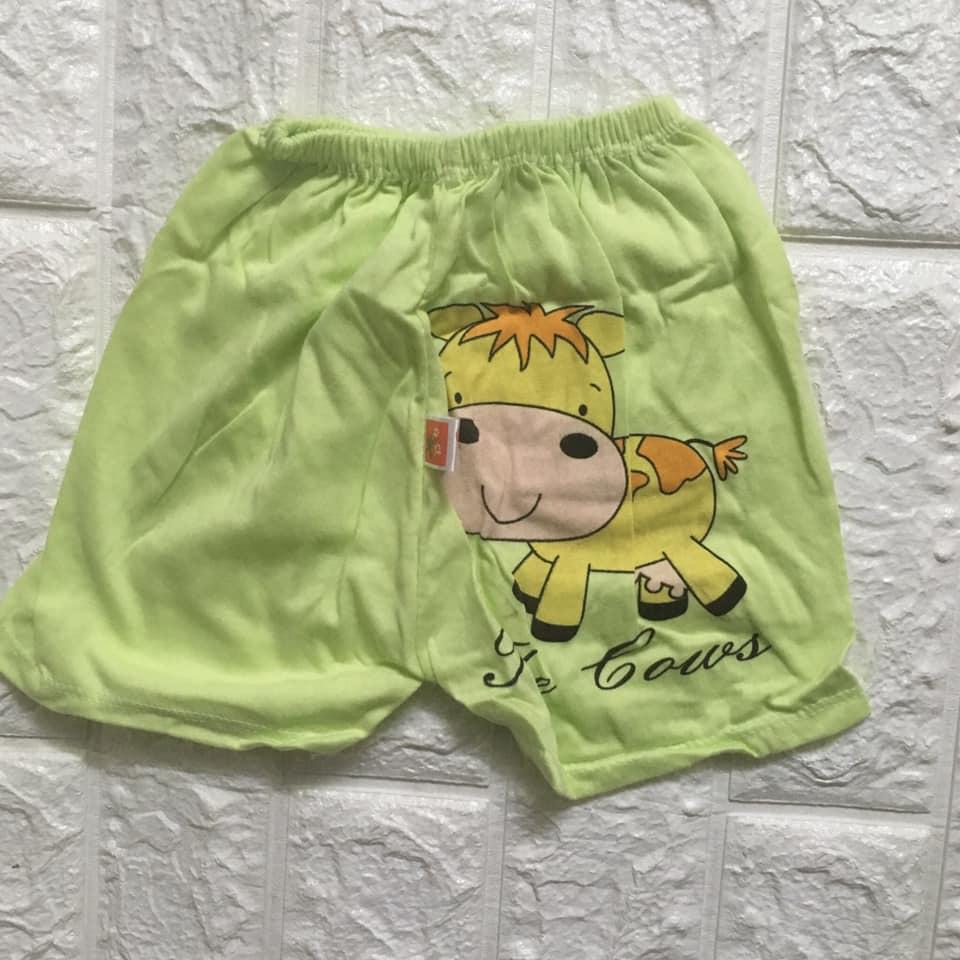 Set 10 quần đùi Carter cho bé yêu (Size 5, từ 8 - 13 kg)