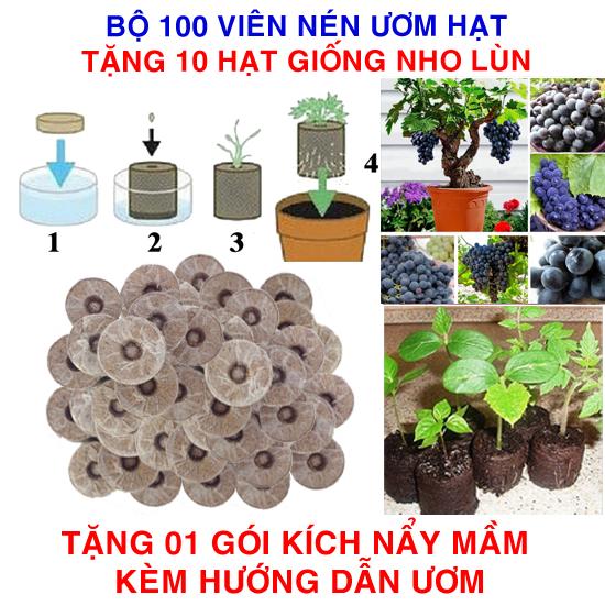 Bộ 100 viên nén ươm hạt (tặng 10 Hạt giống Nho lùn + Kích thích nẩy mầm, Hướng dẫn)