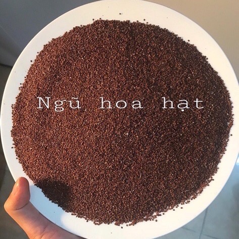 [HCM]Hạt ngũ hoa 100g ( hạt đình lịch )
