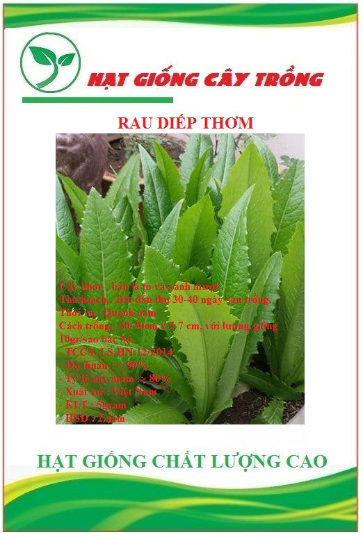 Hạt giống rau diếp thơm ( cải chíp ) (Gói 3gram)