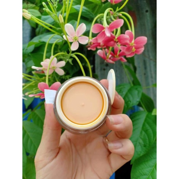 [FREESHIP 50K] Vua Nám nghệ Collagen (kem ngày)  Hoàng Ngọc Diệp