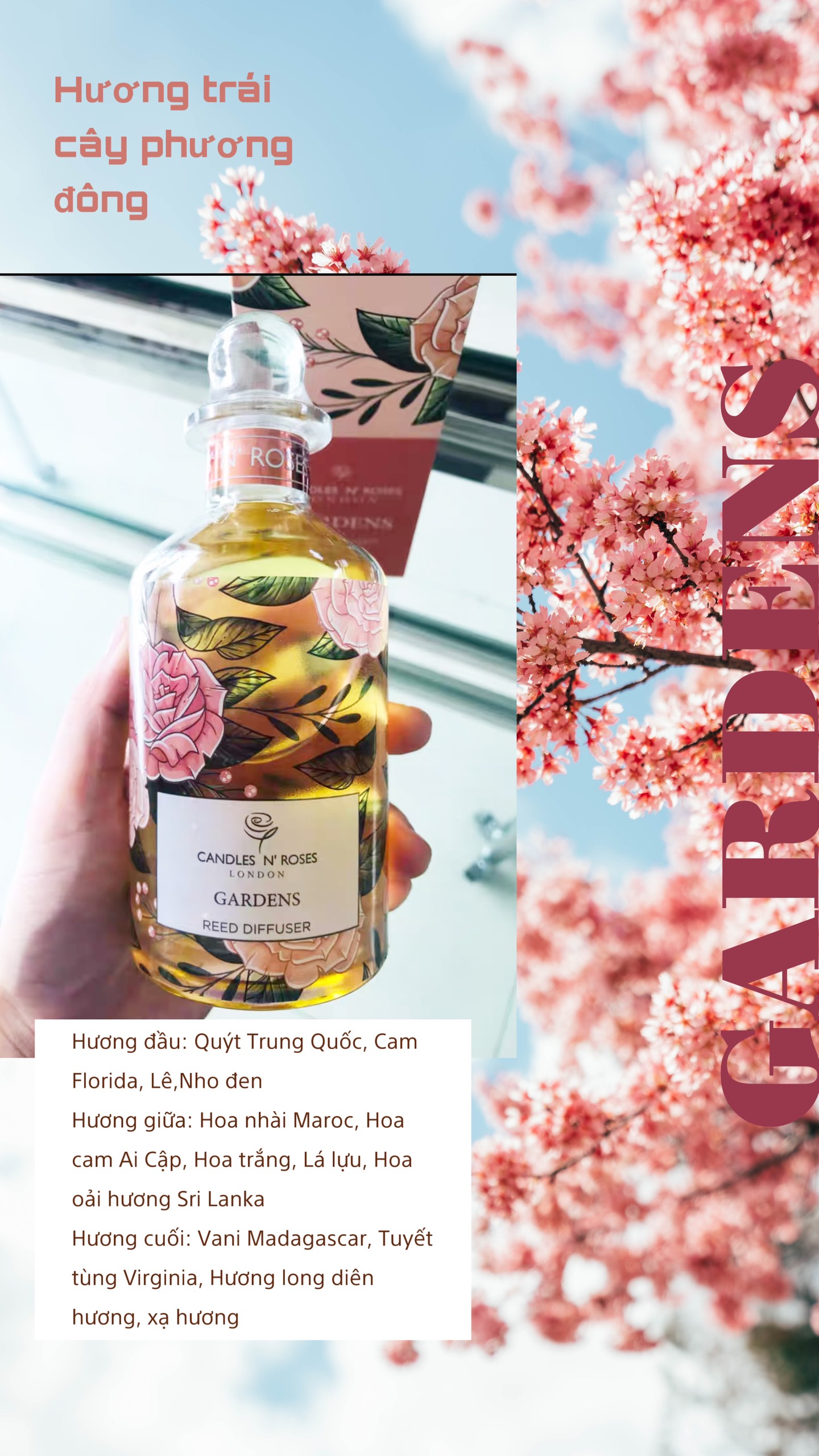 Tinh dầu tỏa hương dạng que Reed Diffuser