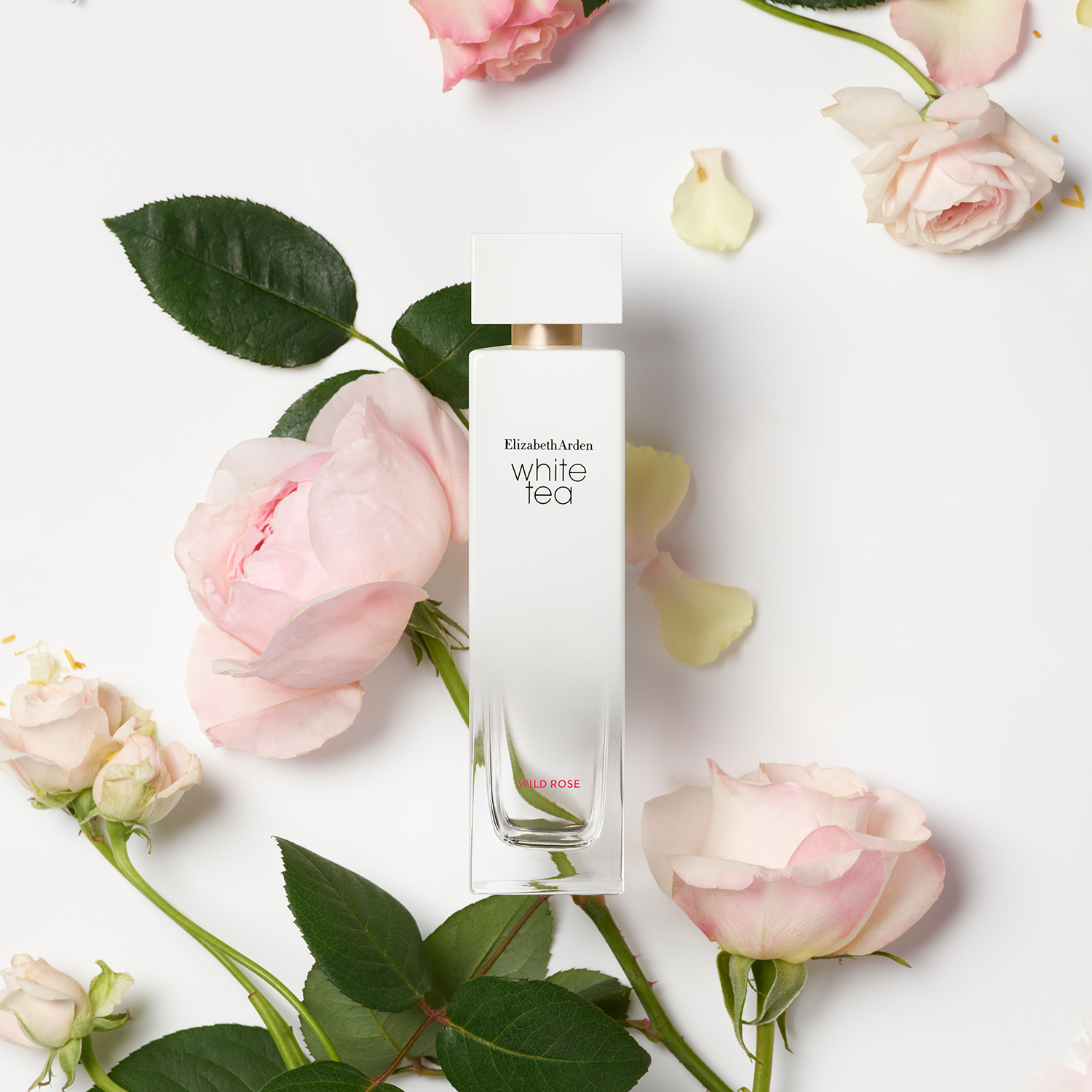 Nước hoa Nữ Elizabeth Arden White Tea Wild Rose EDT 30ml