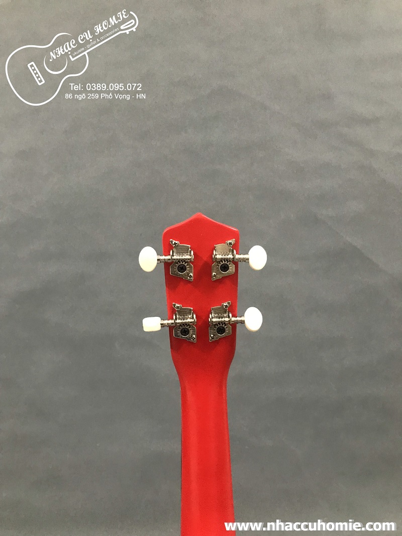 ĐÀN UKULELE SOPRANO 21INCH HÌNH CỜ