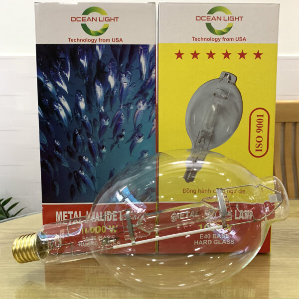 Bóng đèn Halogen Oceanlight 1000W (220V) sáng xanh