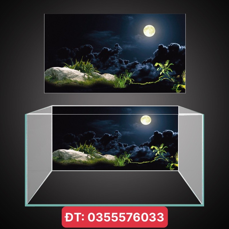 Tranh 3D - phông nền dán hồ cá, bể thủy sinh siêu đẹp và nét, có keo sẵn trên bề mặt, có thể làm theo KT yêu cầu