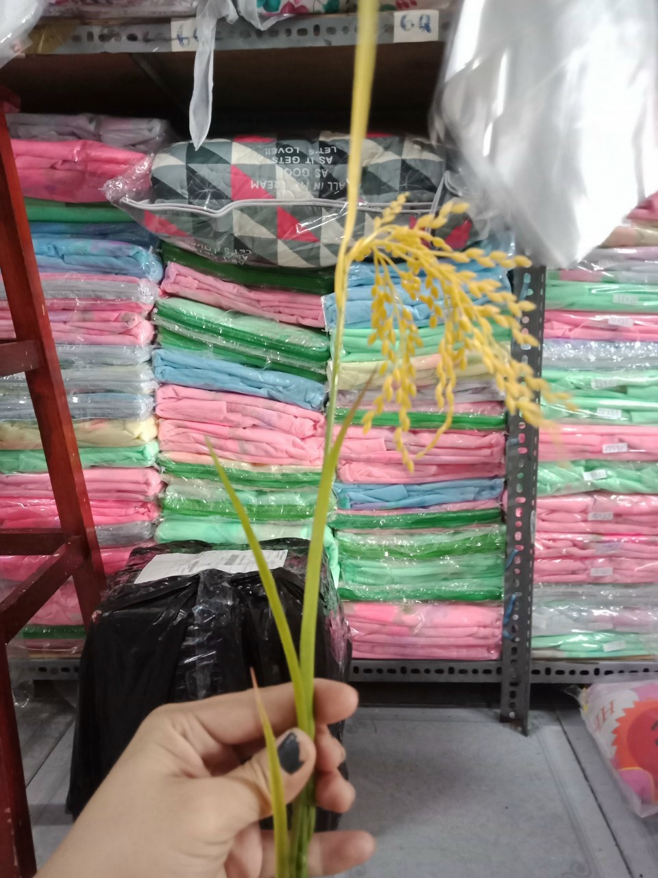 bông lúa giả trang trí phong thuỷ