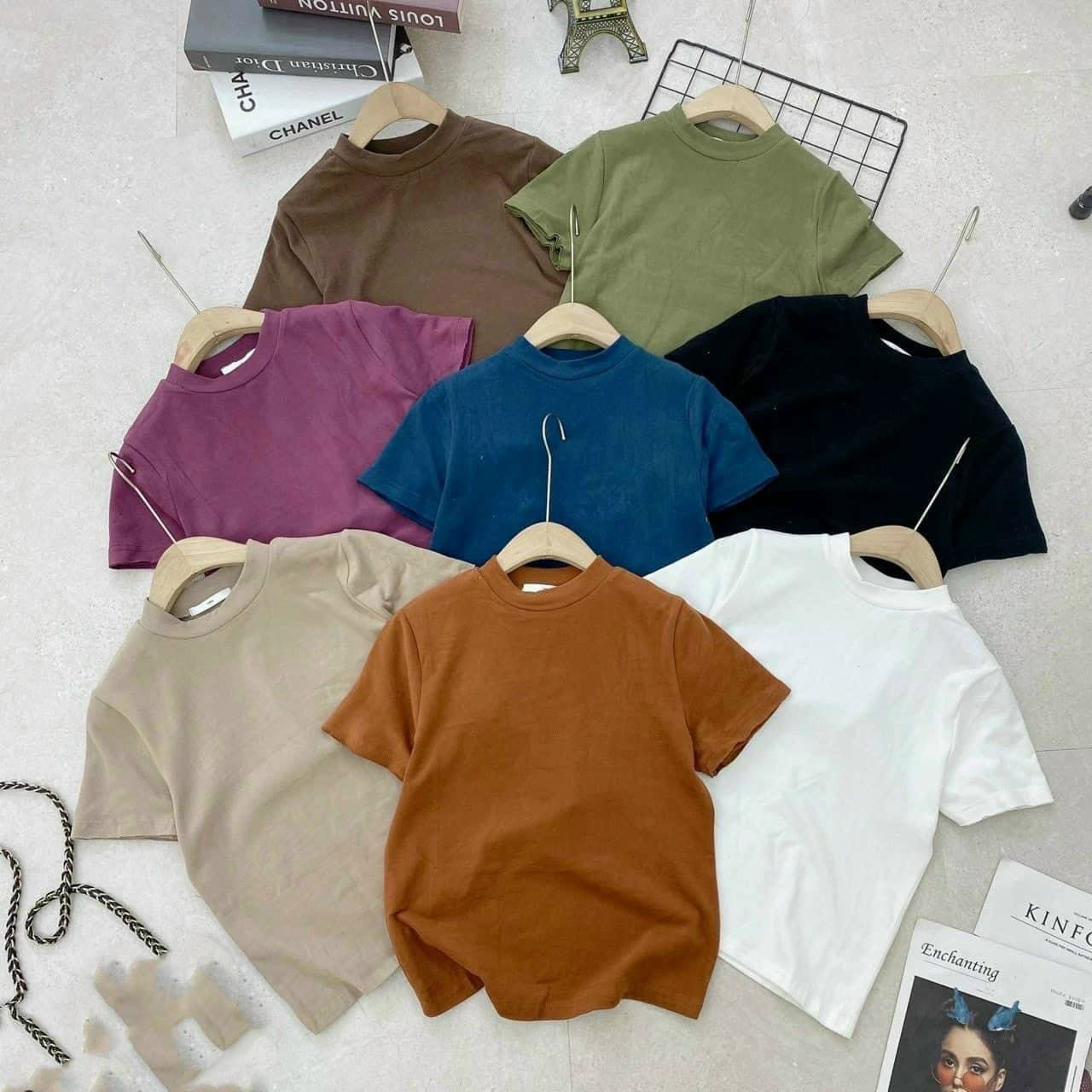 Áo len nhung tuyết trơn Basic