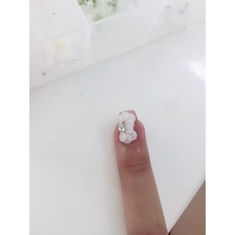 Hoa bột nail (cúc nửa ) hoa bột giá sỉ