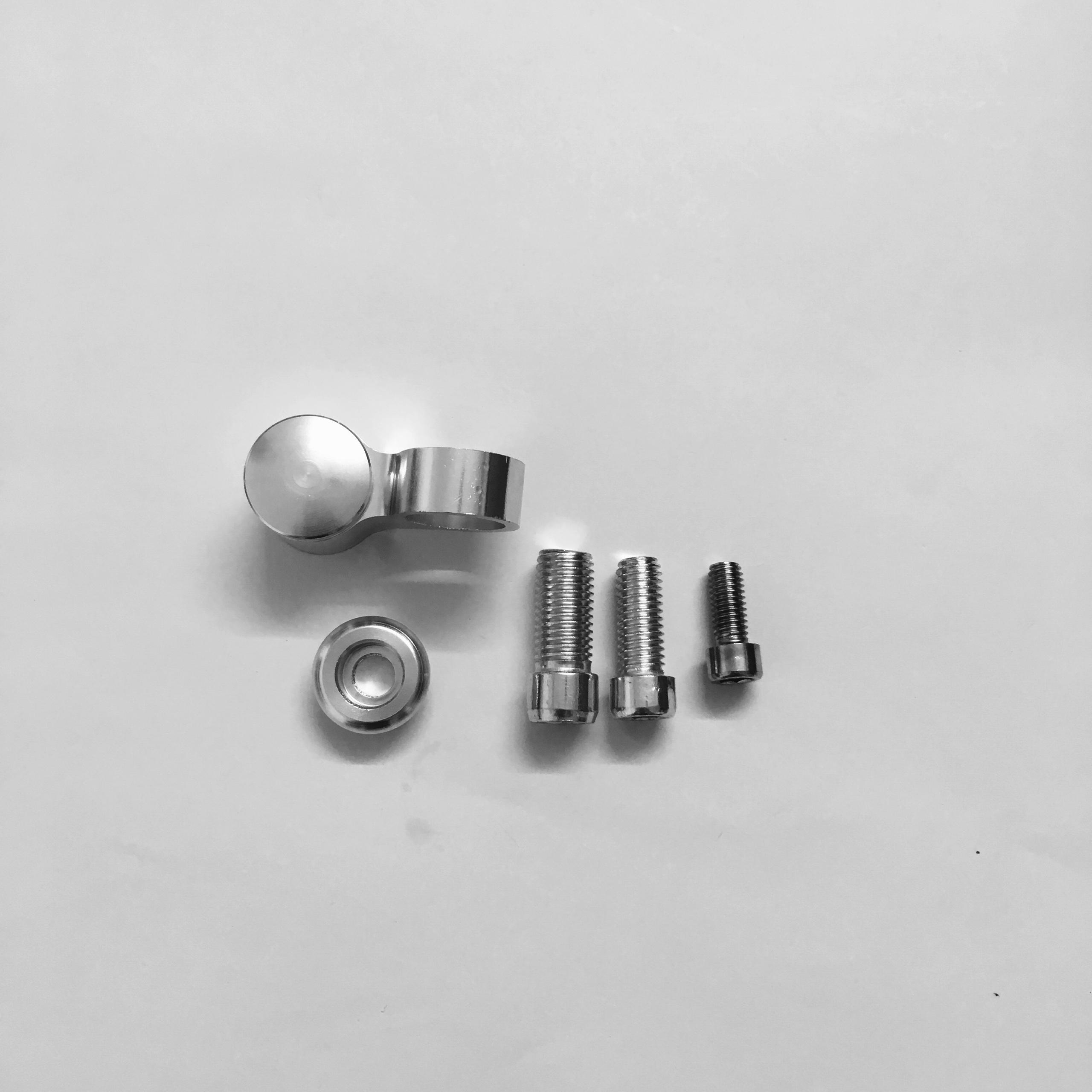 KIẾNG 5 CẠNH NHỎ RIZOMA  1 CÂY ( MÀU BẠC)