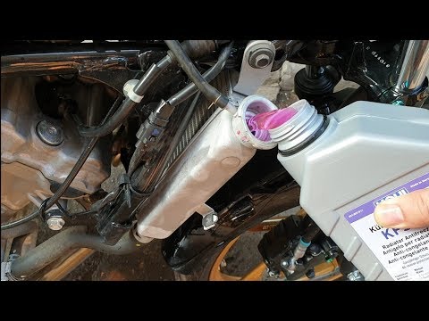 [HCM]Nước làm mát xe máy pha sẵn Liqui Moly 1L