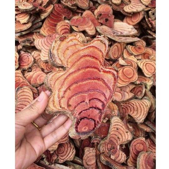 1kg cây cỏ máu