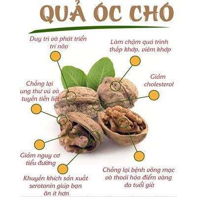 [HÀNG CHUẨN CHẤT LƯỢNG] Nhân Hạt Óc Chó Mourads túi 400g (Óc Chó vàng) - Úc
