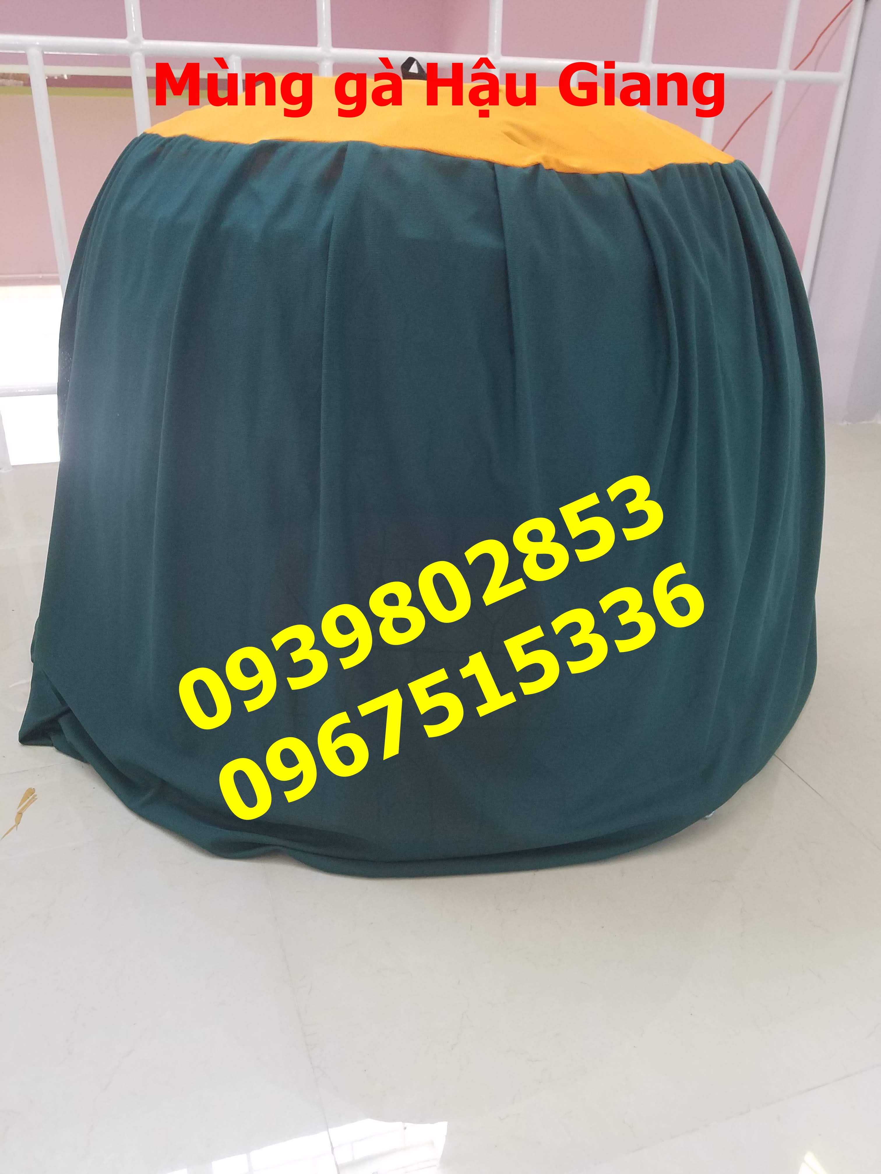 10 Mùng gà nòi MIEN PHI VAN CHUYEN