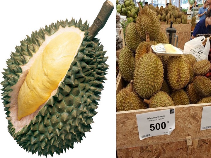 CÂY GIỐNG SẦU RIÊNG - XEM HÀNG TRƯỚC - NHẬN HÀNG SAU - CHẤT LƯỢNG CAO