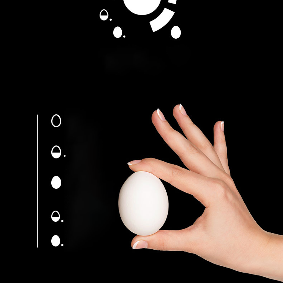 Nồi luộc, hấp trứng WMF 0415079911