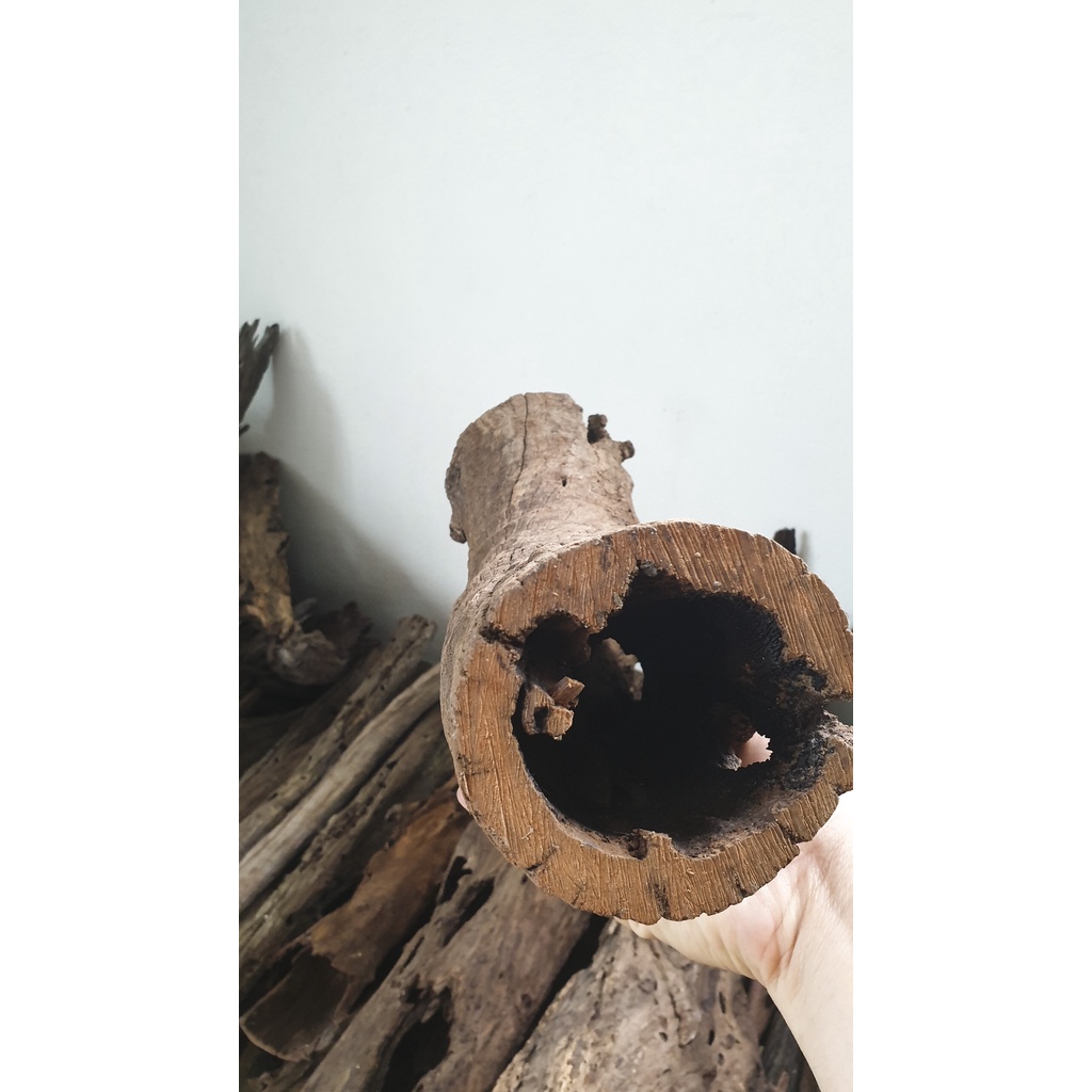 Gỗ lũa san đá ống SL 1KG
